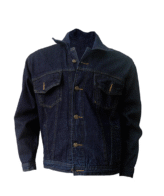 Chaqueta en jean
