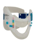 Cuello Cervical Adulto